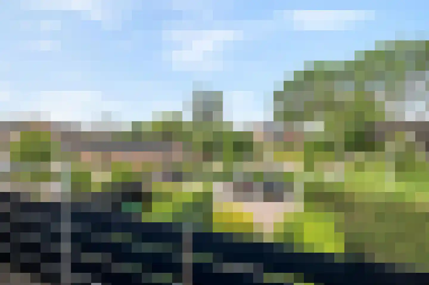 De Kastanje 3 Rhoon thumbnail 29