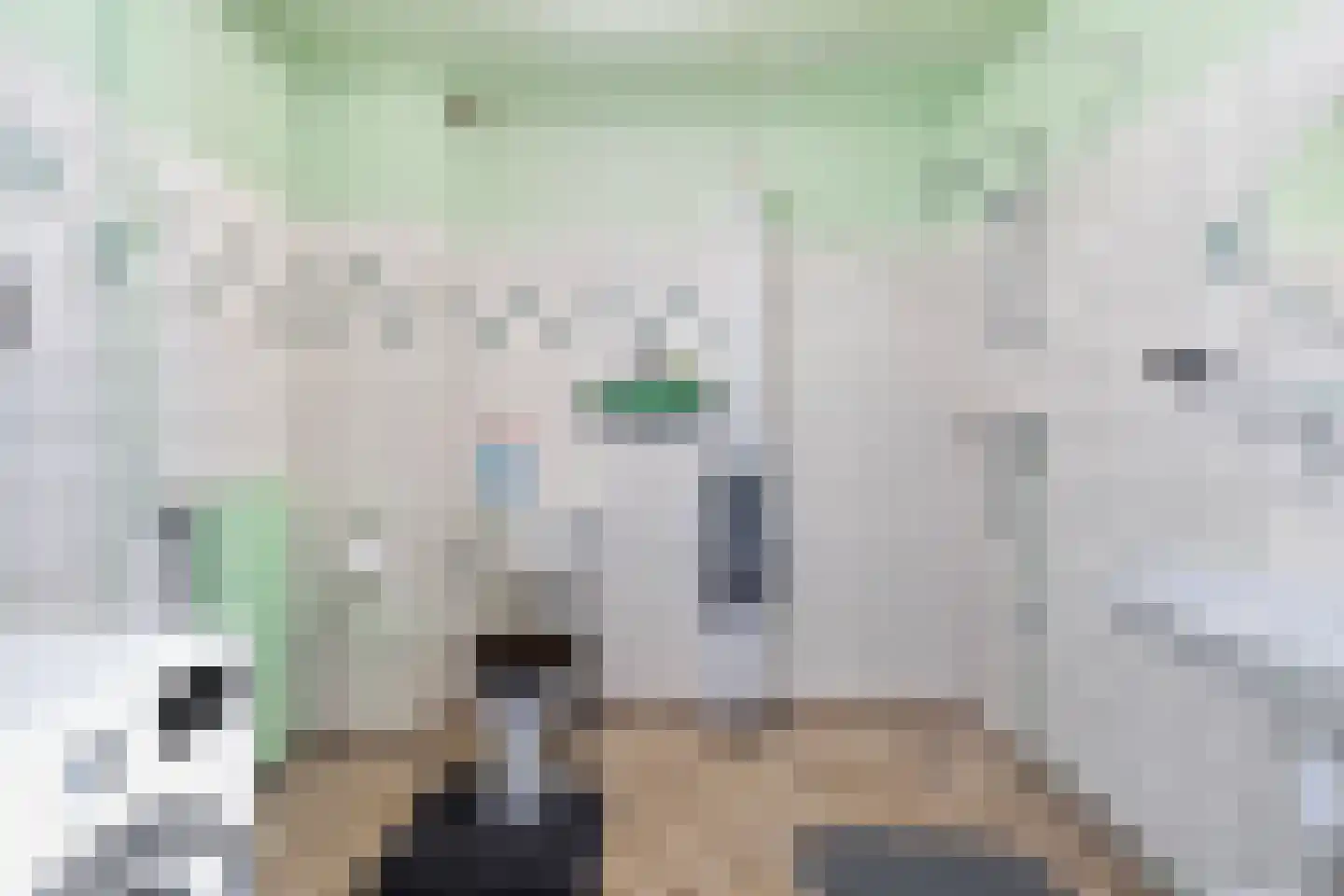 De Kastanje 3 Rhoon thumbnail 31