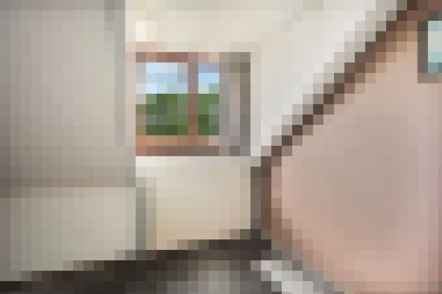 De Kastanje 3 Rhoon thumbnail 37