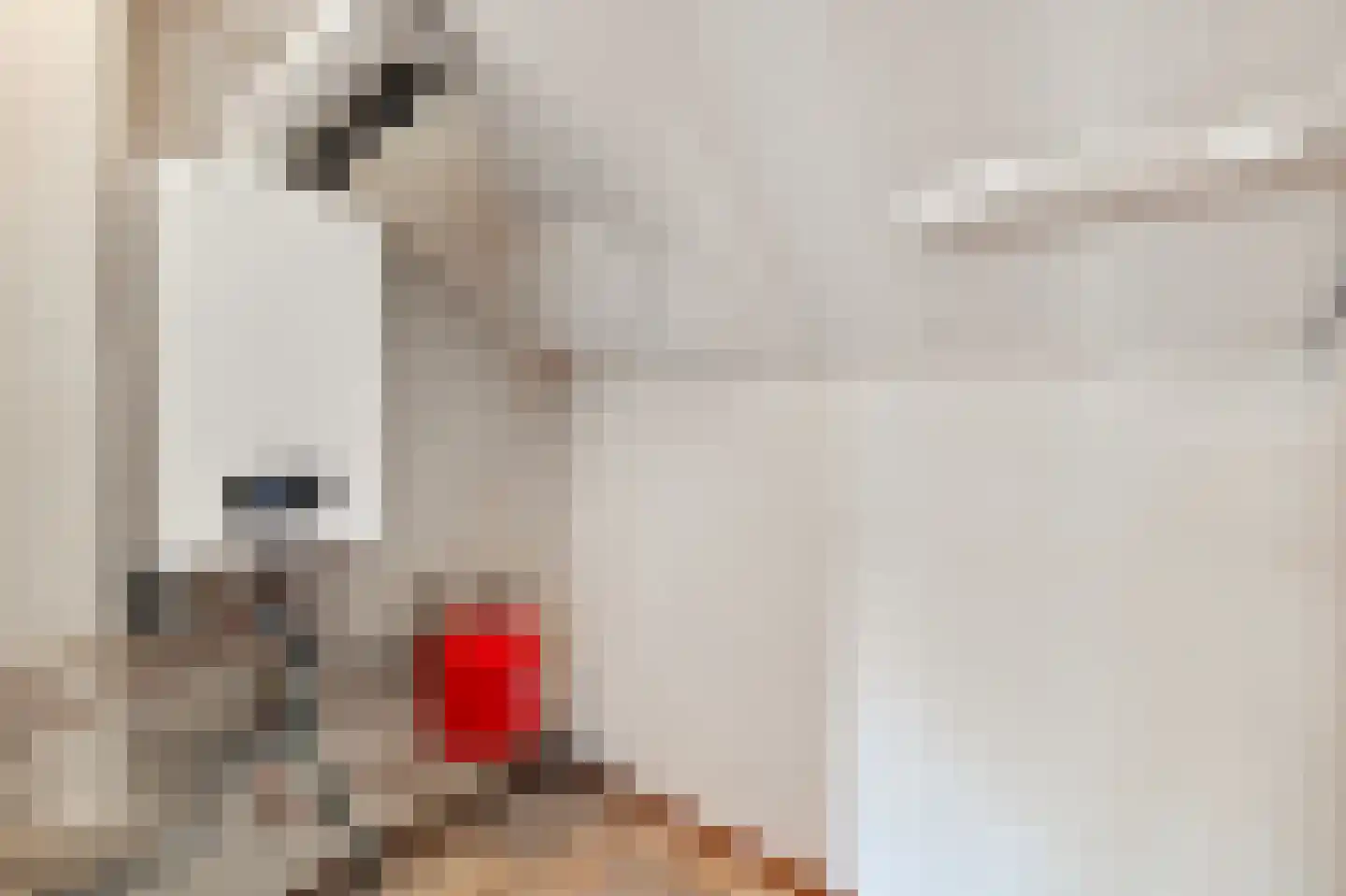 De Kastanje 3 Rhoon thumbnail 38