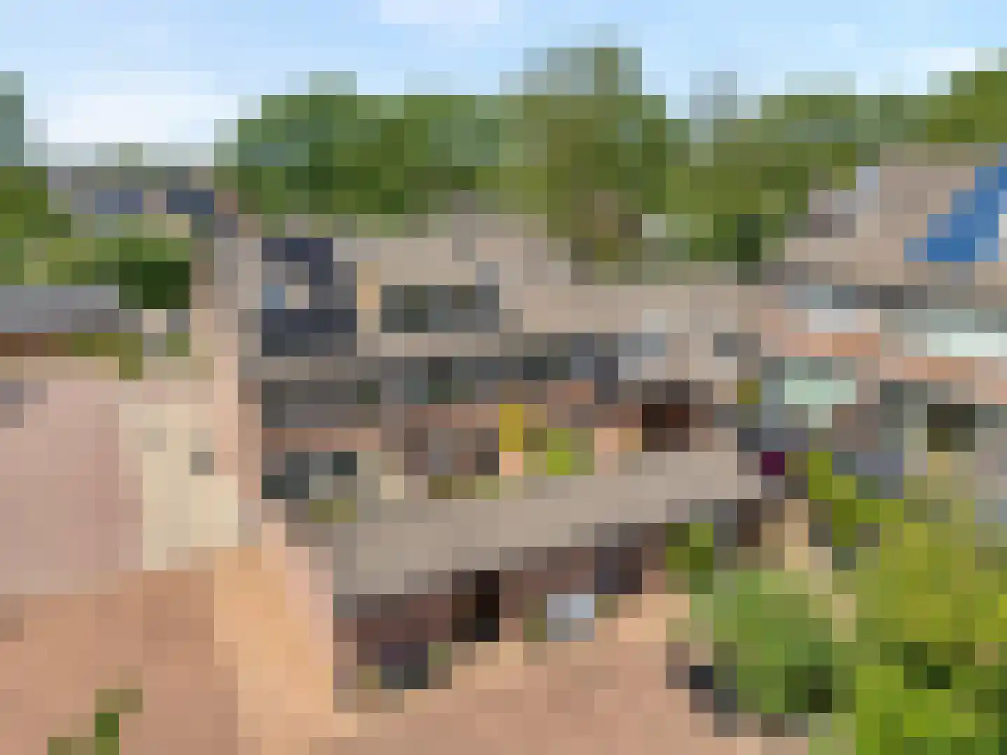 De Kastanje 3 Rhoon thumbnail 47