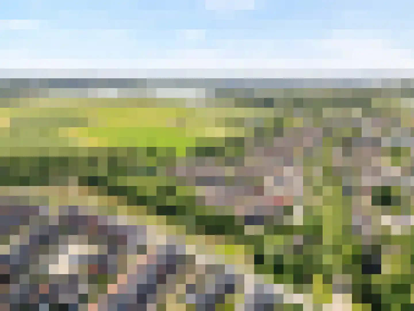De Kastanje 3 Rhoon thumbnail 50