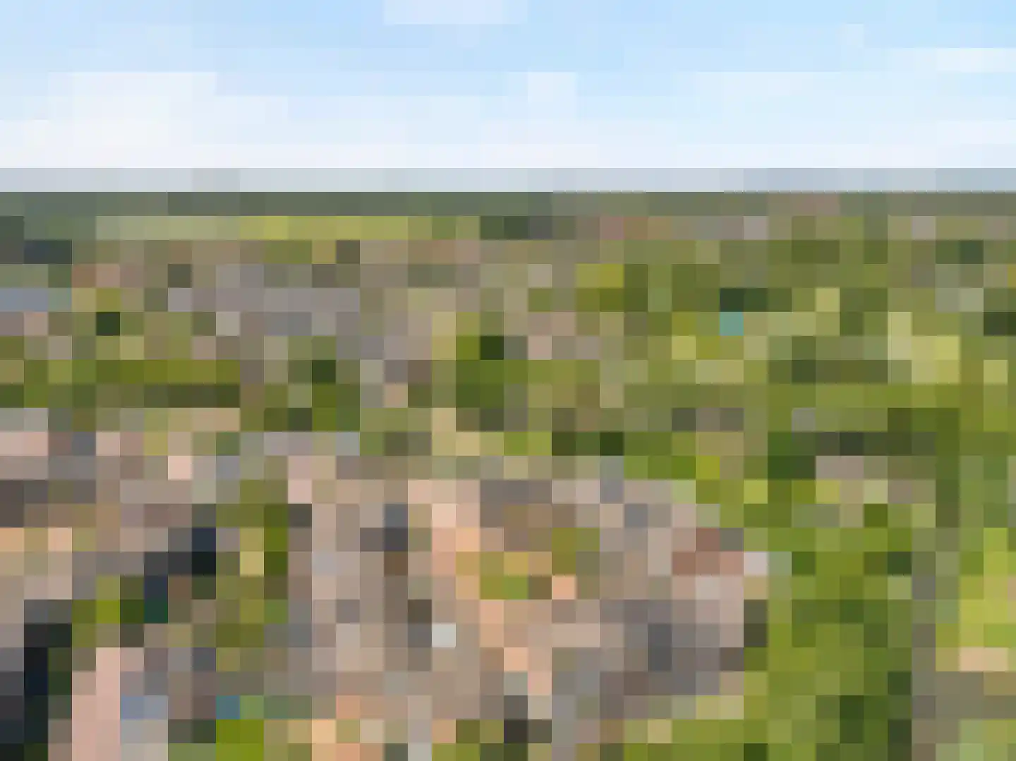 De Kastanje 3 Rhoon thumbnail 51