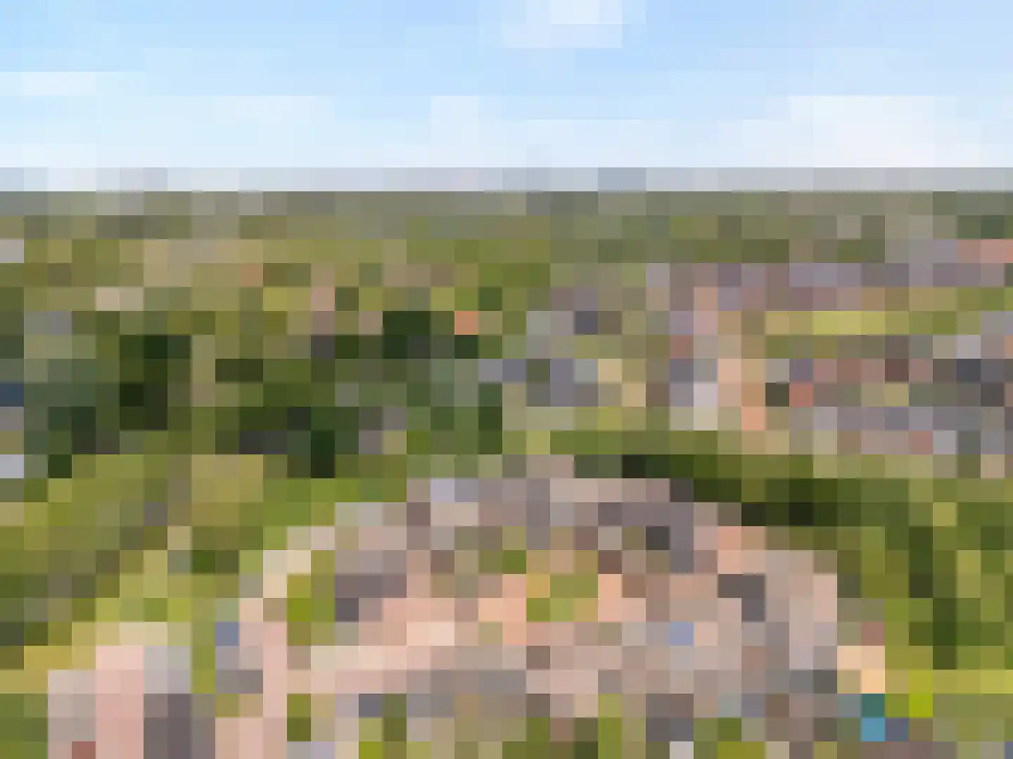 De Kastanje 3 Rhoon thumbnail 52