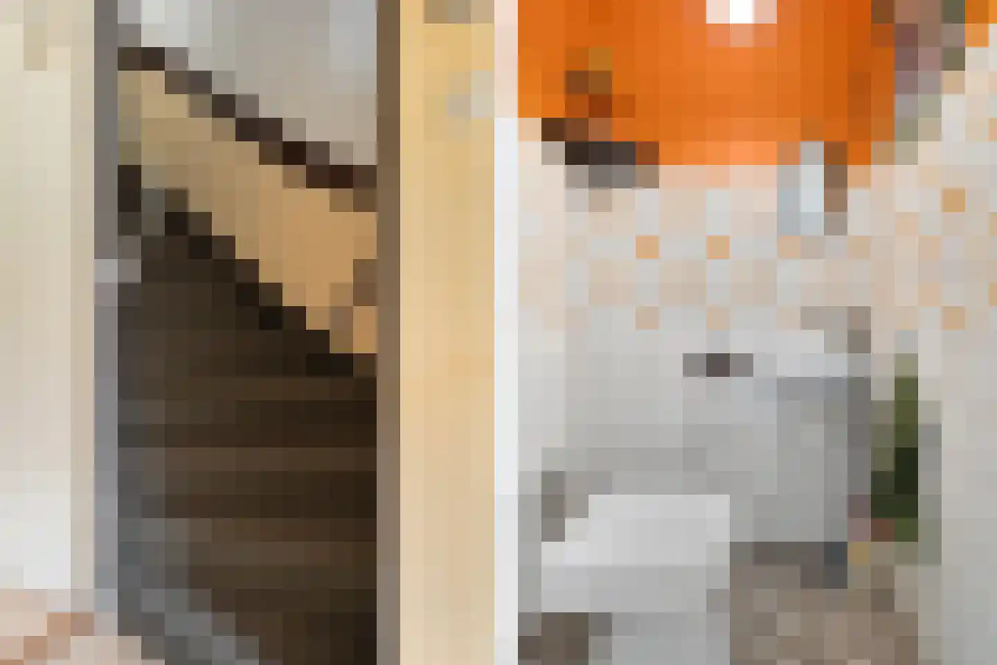 De Kastanje 3 Rhoon thumbnail 9
