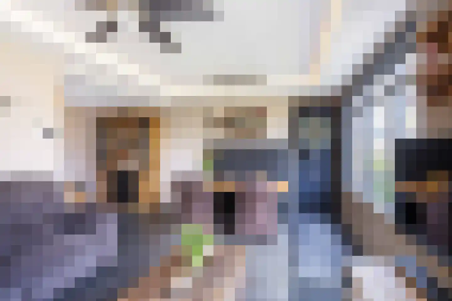 De Kastanje 5 Bedum thumbnail 14