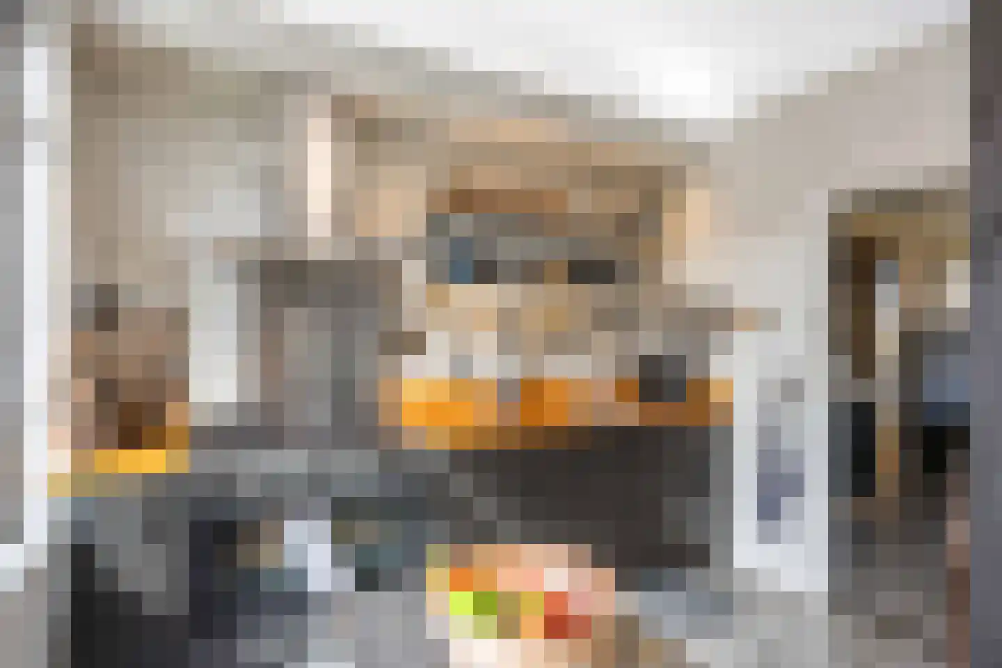 De Kastanje 5 Bedum thumbnail 18