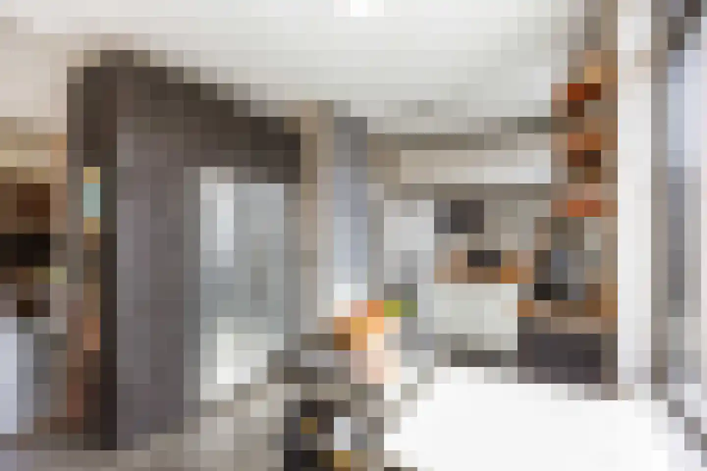 De Kastanje 5 Bedum thumbnail 21