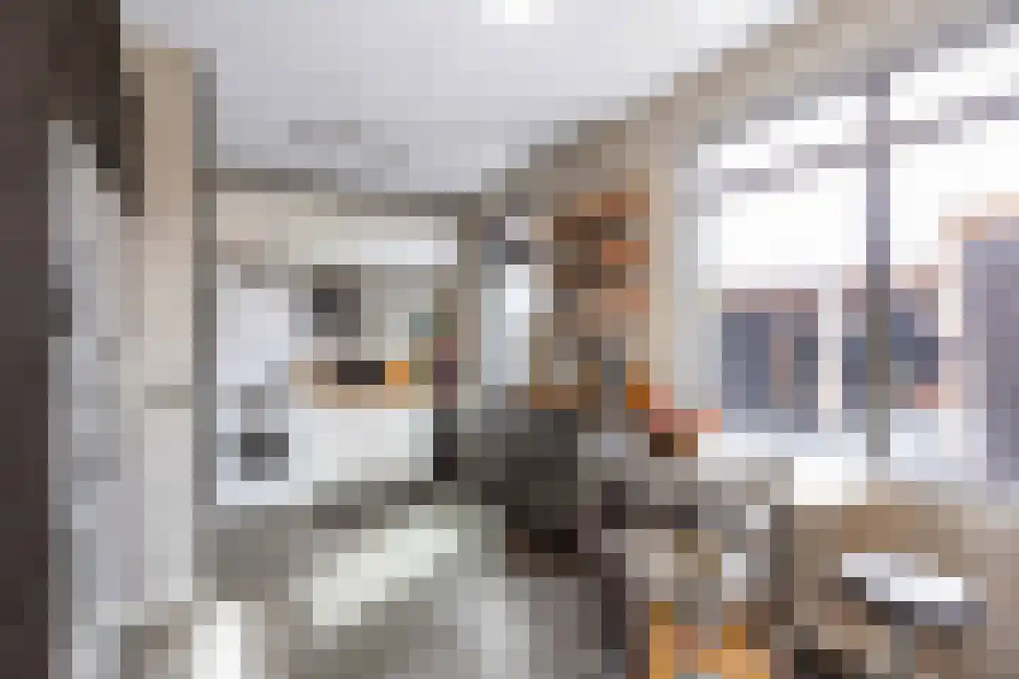 De Kastanje 5 Bedum thumbnail 22