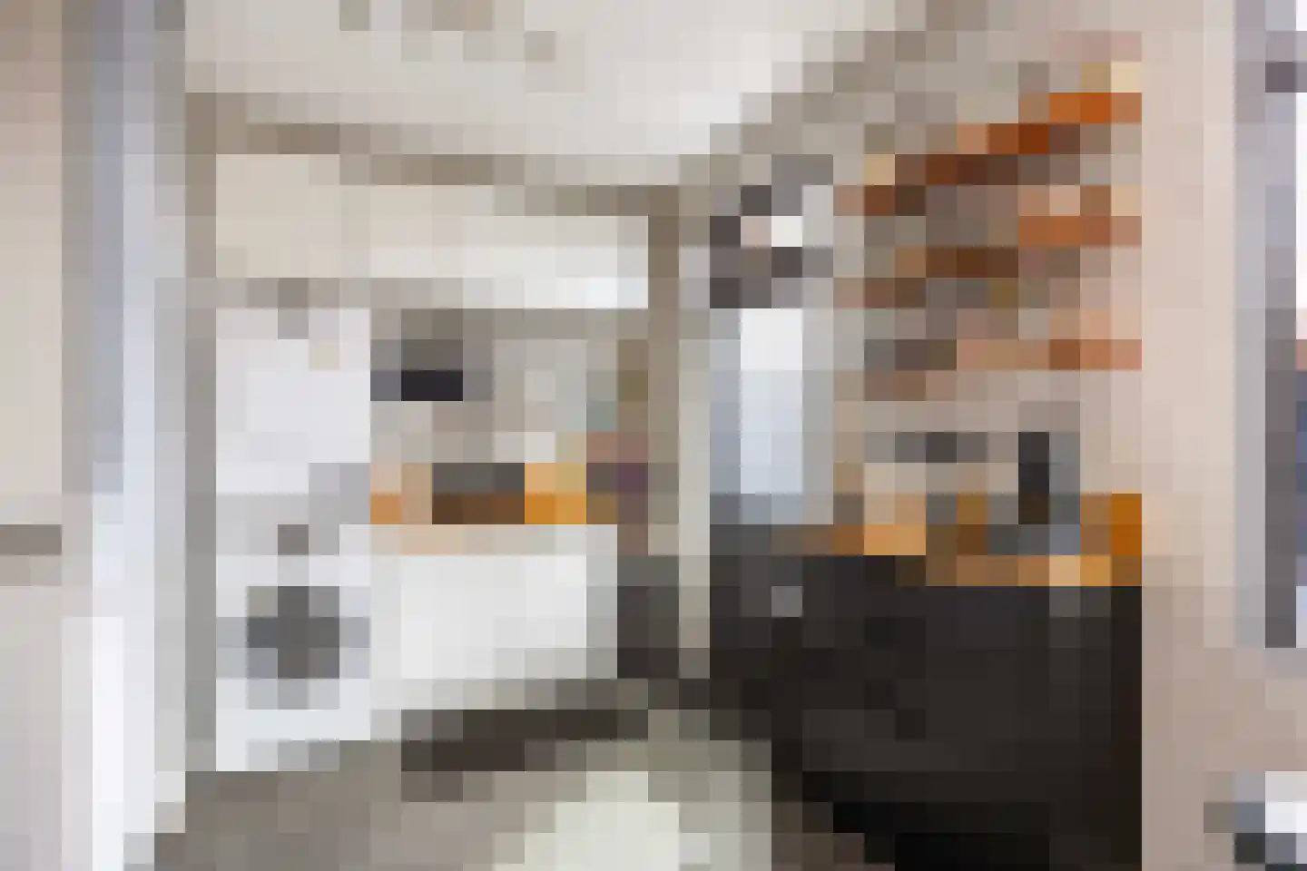 De Kastanje 5 Bedum thumbnail 23