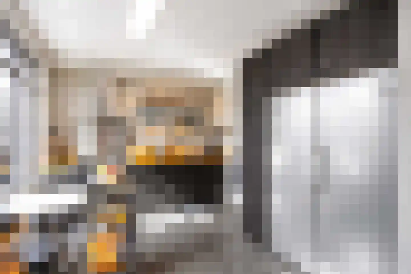 De Kastanje 5 Bedum thumbnail 24