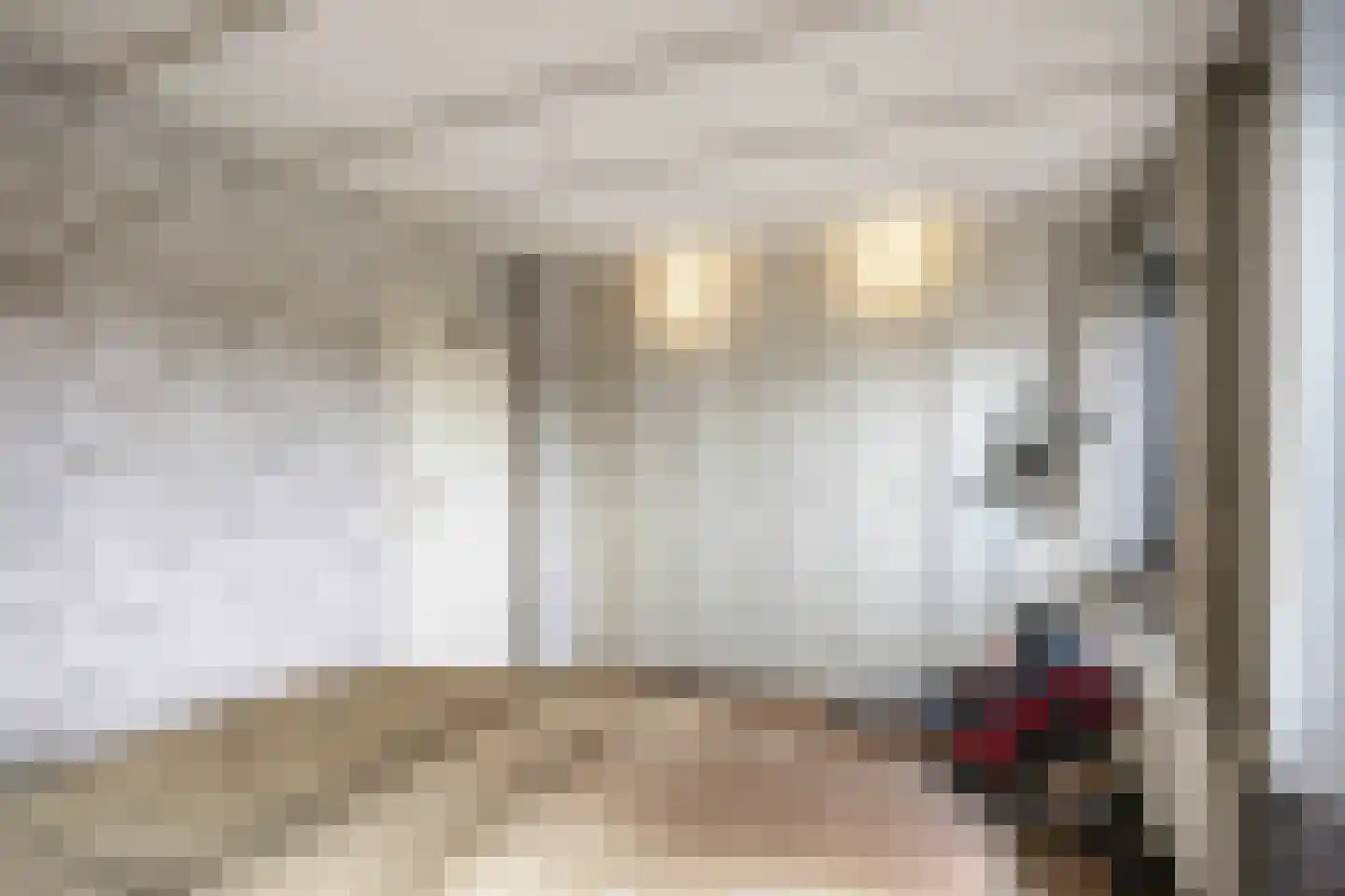 De Kastanje 5 Bedum thumbnail 27