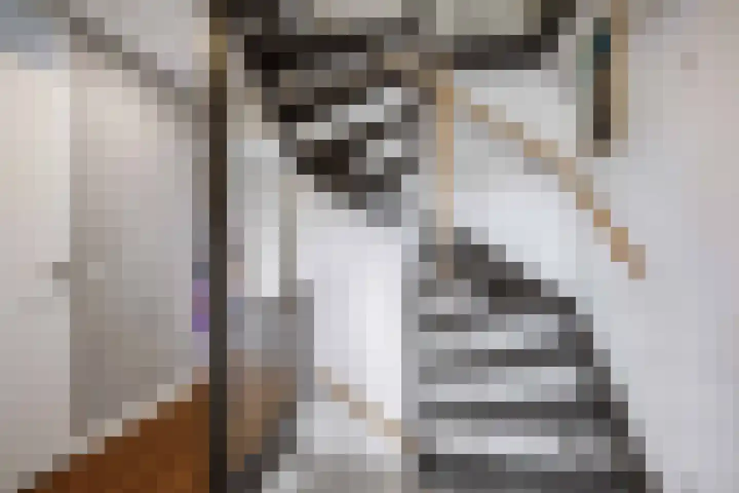 De Kastanje 5 Bedum thumbnail 36