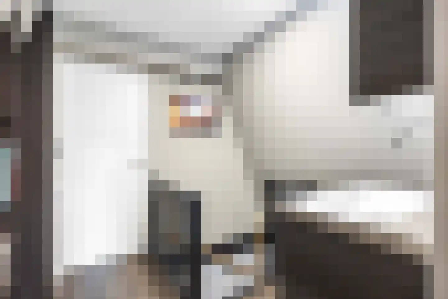De Kastanje 5 Bedum thumbnail 37