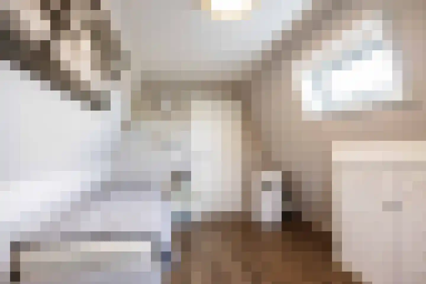 De Kastanje 5 Bedum thumbnail 39