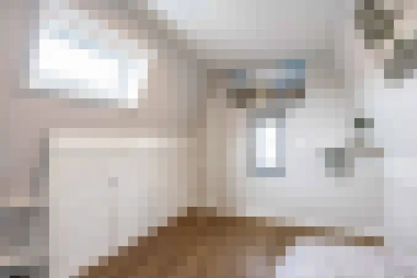 De Kastanje 5 Bedum thumbnail 40