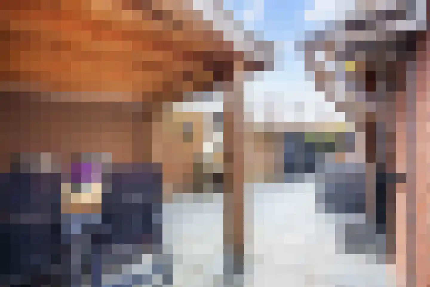De Kastanje 5 Bedum thumbnail 44
