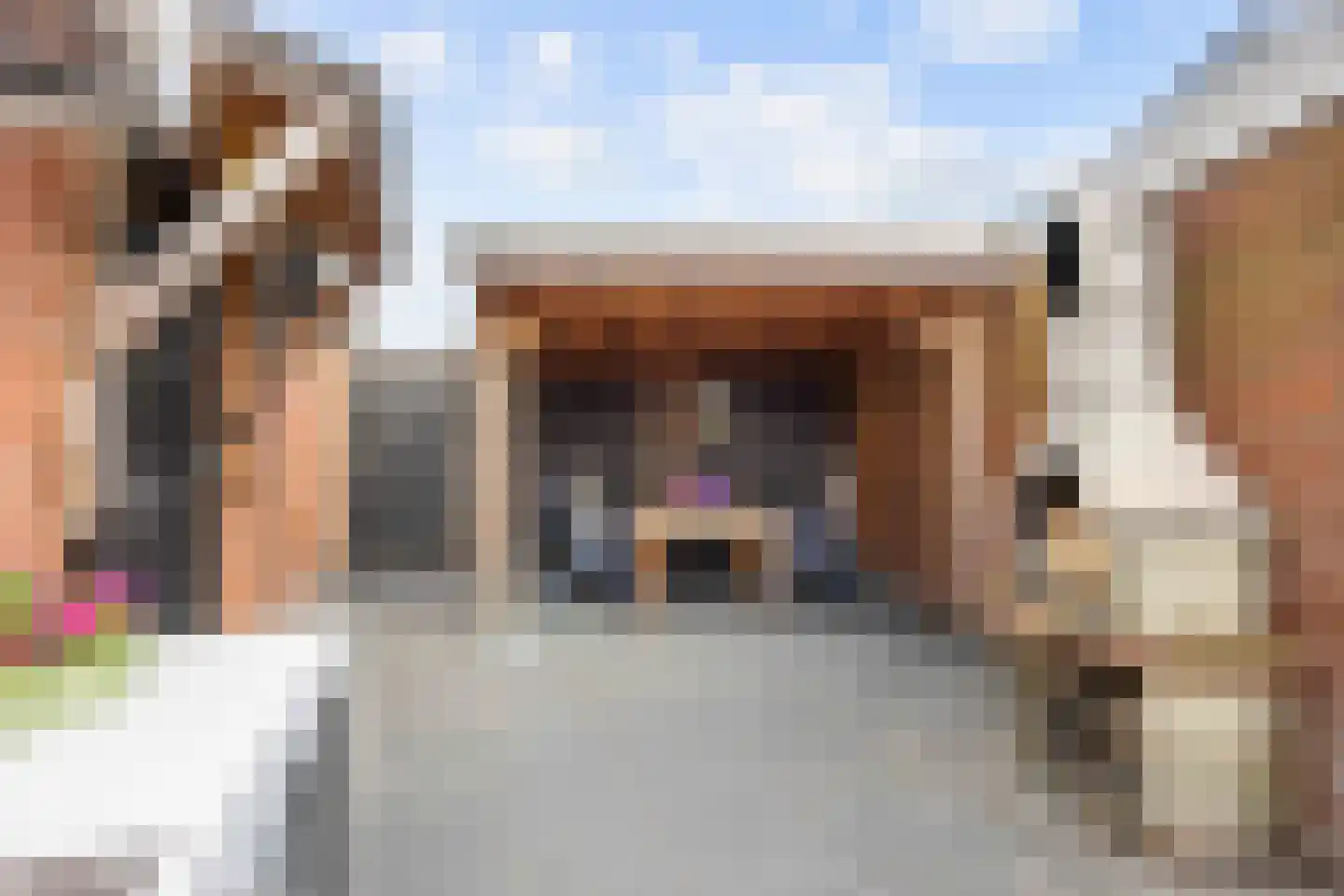 De Kastanje 5 Bedum thumbnail 45