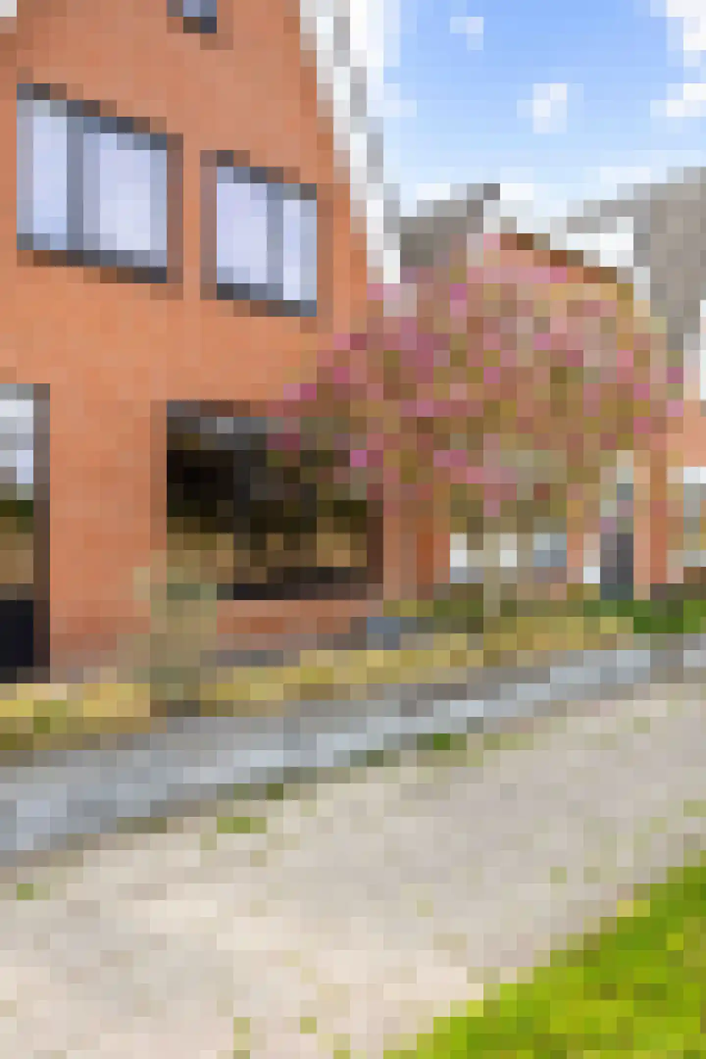 De Kastanje 5 Bedum thumbnail 6