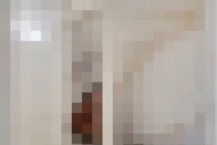 de Kastanje 5 Didam thumbnail 16
