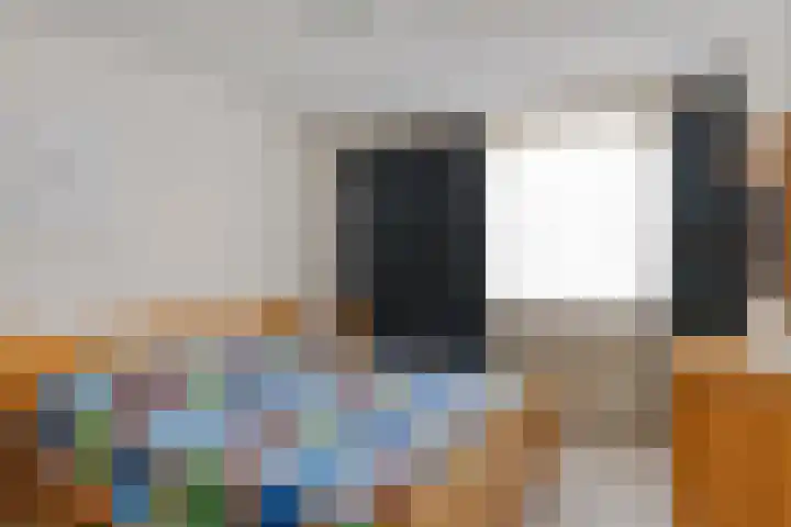 de Kastanje 5 Didam thumbnail 17
