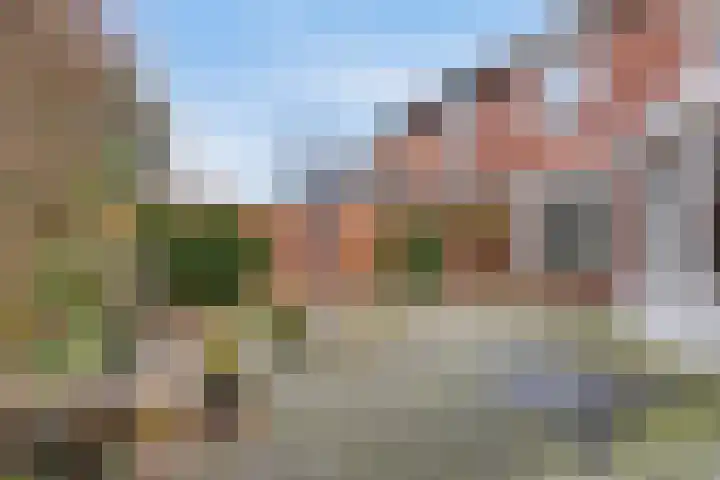 de Kastanje 5 Didam thumbnail 26