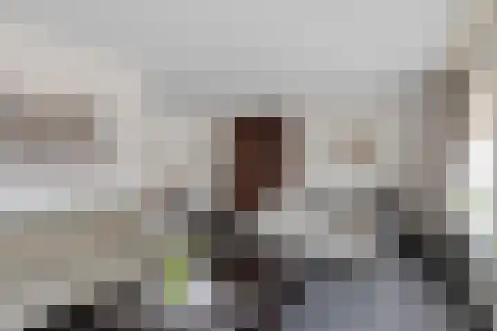 de Kastanje 5 Didam thumbnail 9