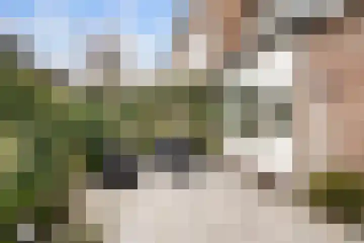 De Kastanje 5 Rhoon thumbnail 27