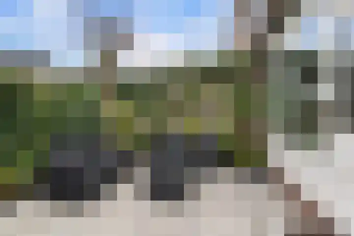 De Kastanje 5 Rhoon thumbnail 28