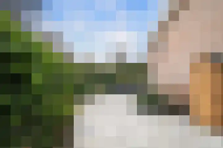 De Kastanje 5 Rhoon thumbnail 31