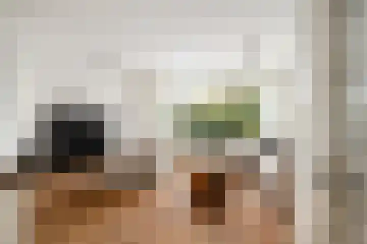 De Kastanje 5 Rhoon thumbnail 5