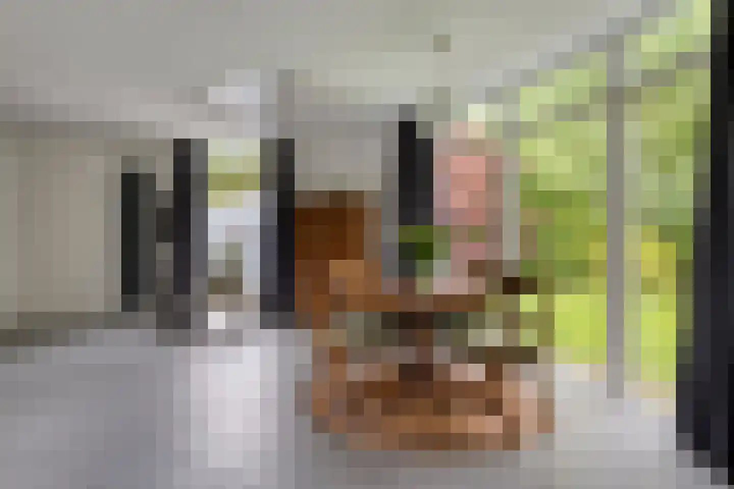 De Kastanje 51 Burgum thumbnail 11
