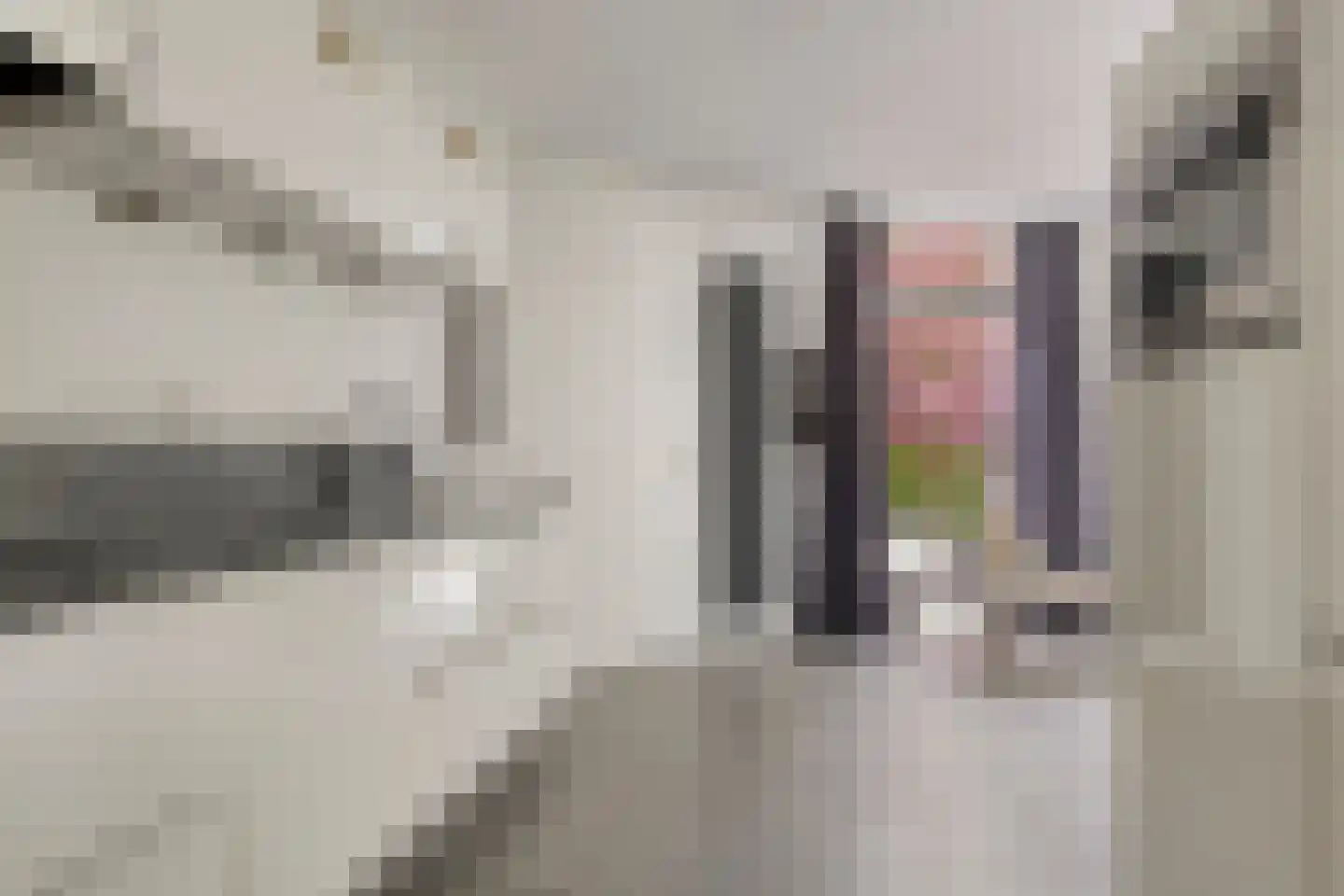 De Kastanje 51 Burgum thumbnail 15