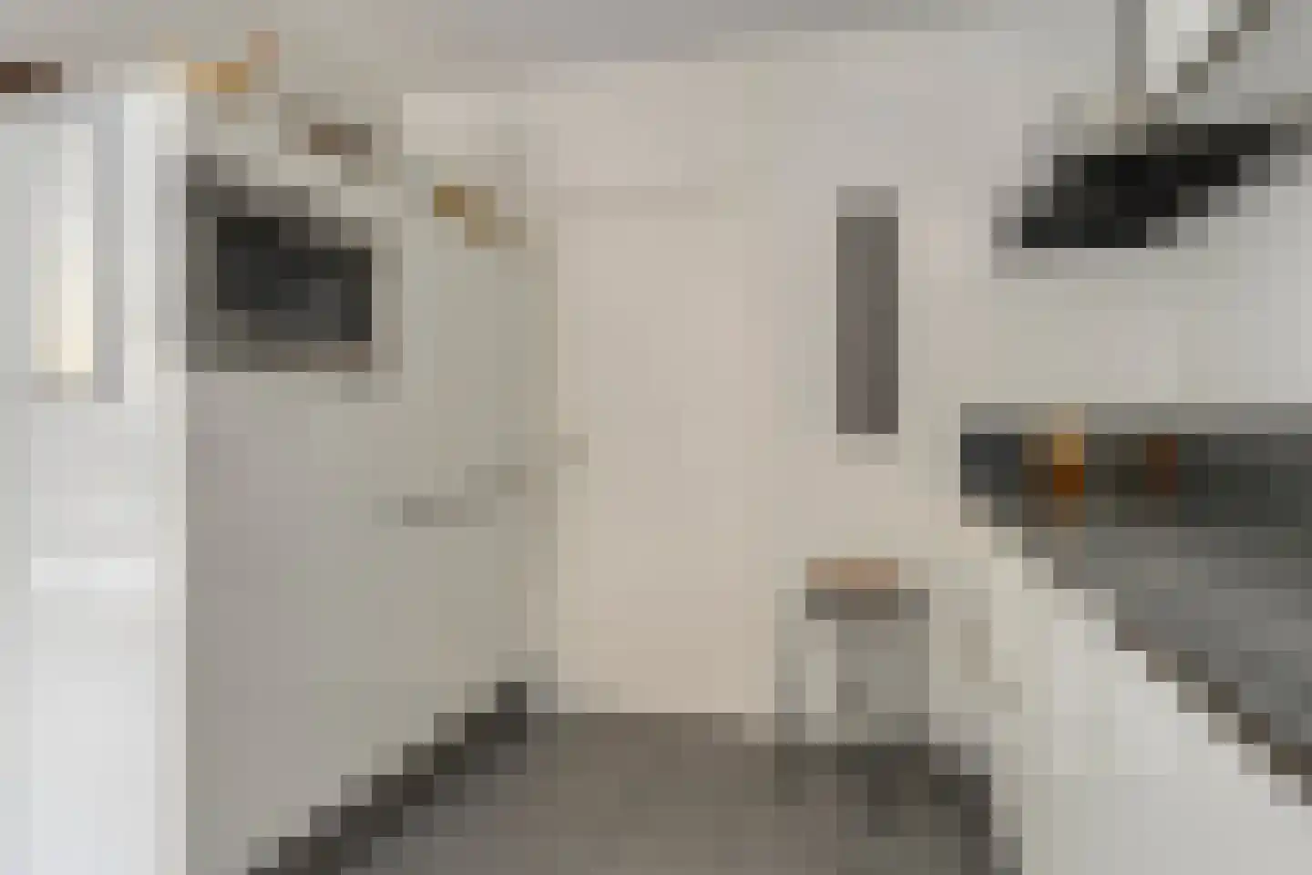De Kastanje 51 Burgum thumbnail 17