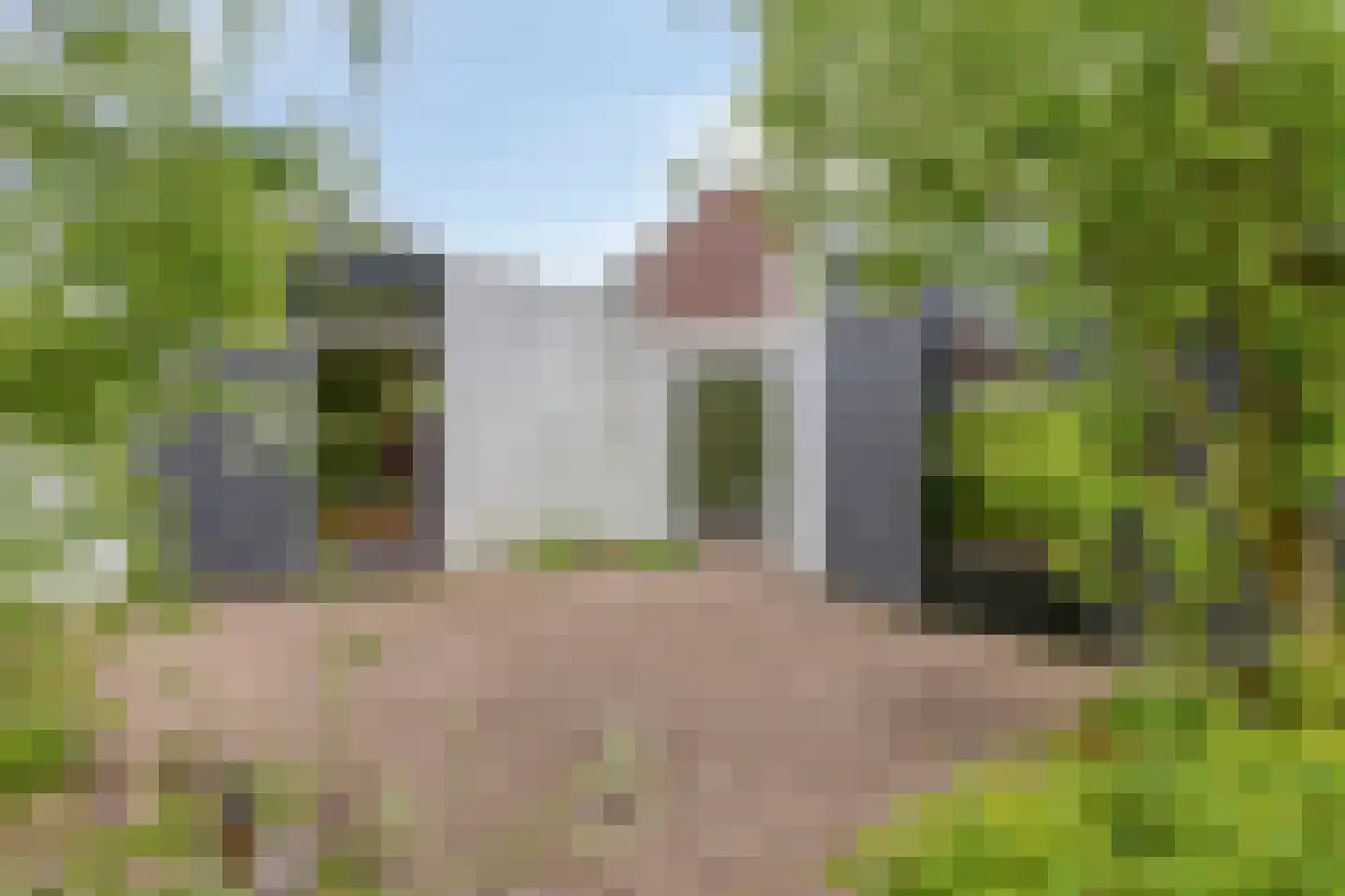 De Kastanje 51 Burgum thumbnail 36
