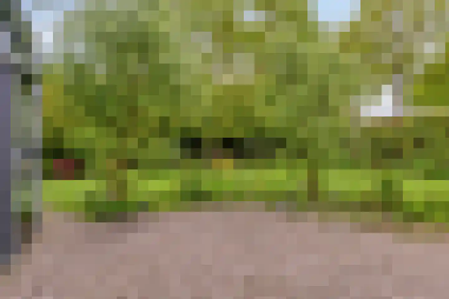 De Kastanje 51 Burgum thumbnail 37