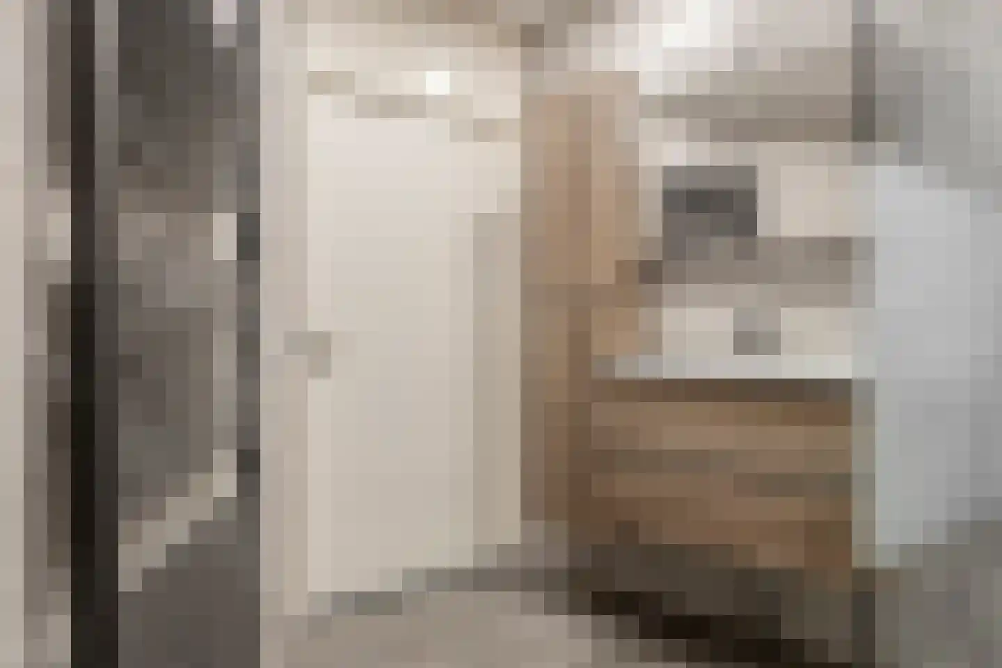 De Kastanje 51 Burgum thumbnail 4