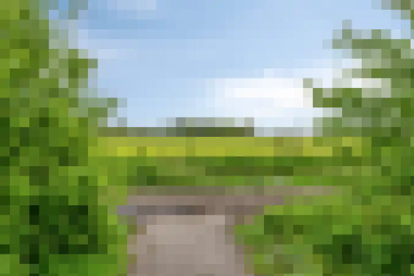 De Kastanje 51 Burgum thumbnail 42
