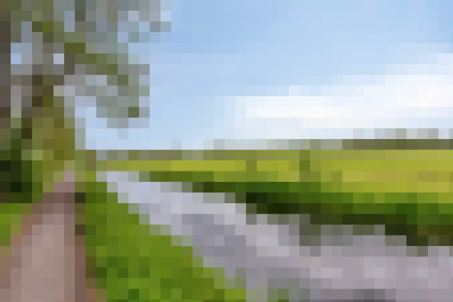 De Kastanje 51 Burgum thumbnail 44