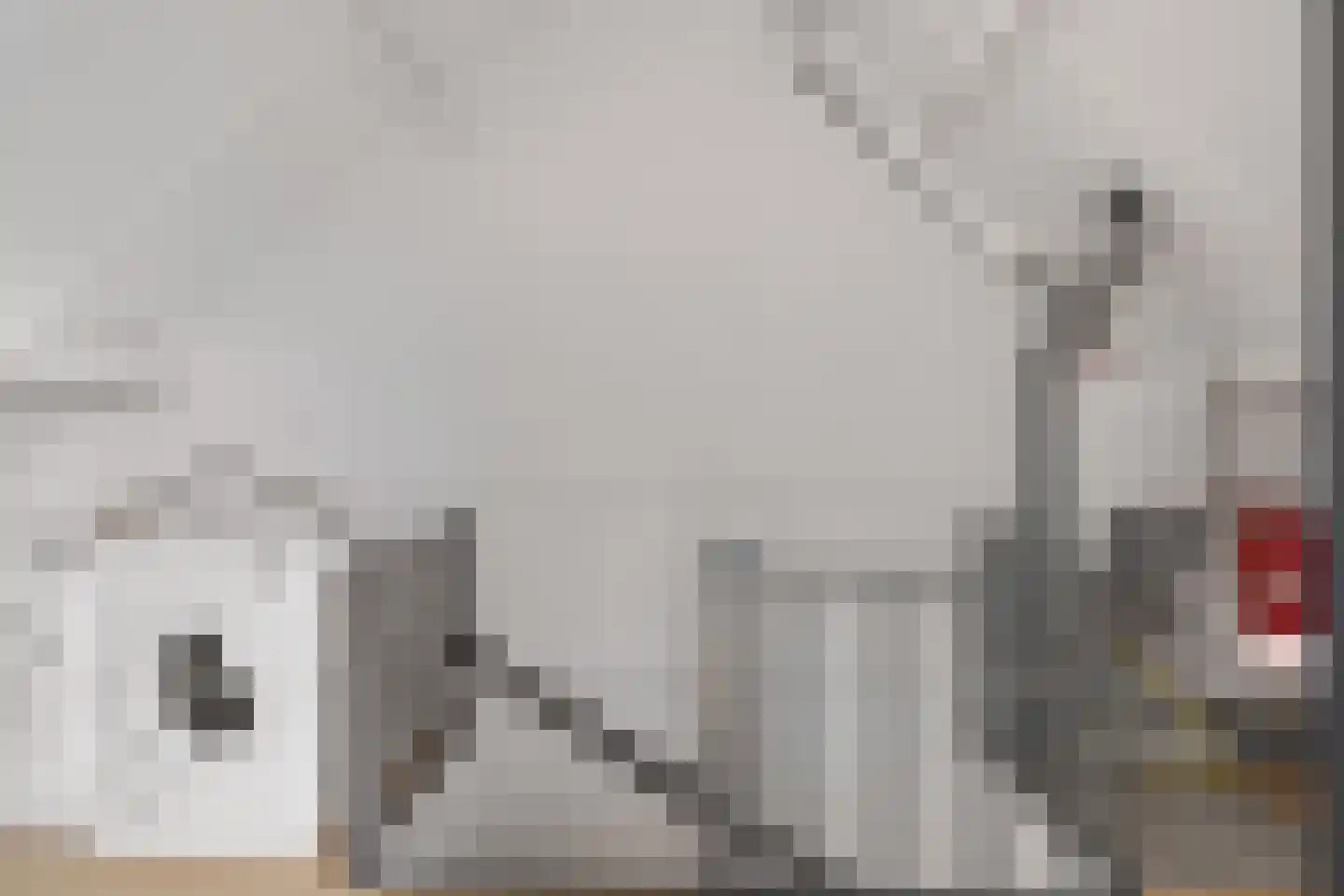 De Kastanjes 14 Boekel thumbnail 20