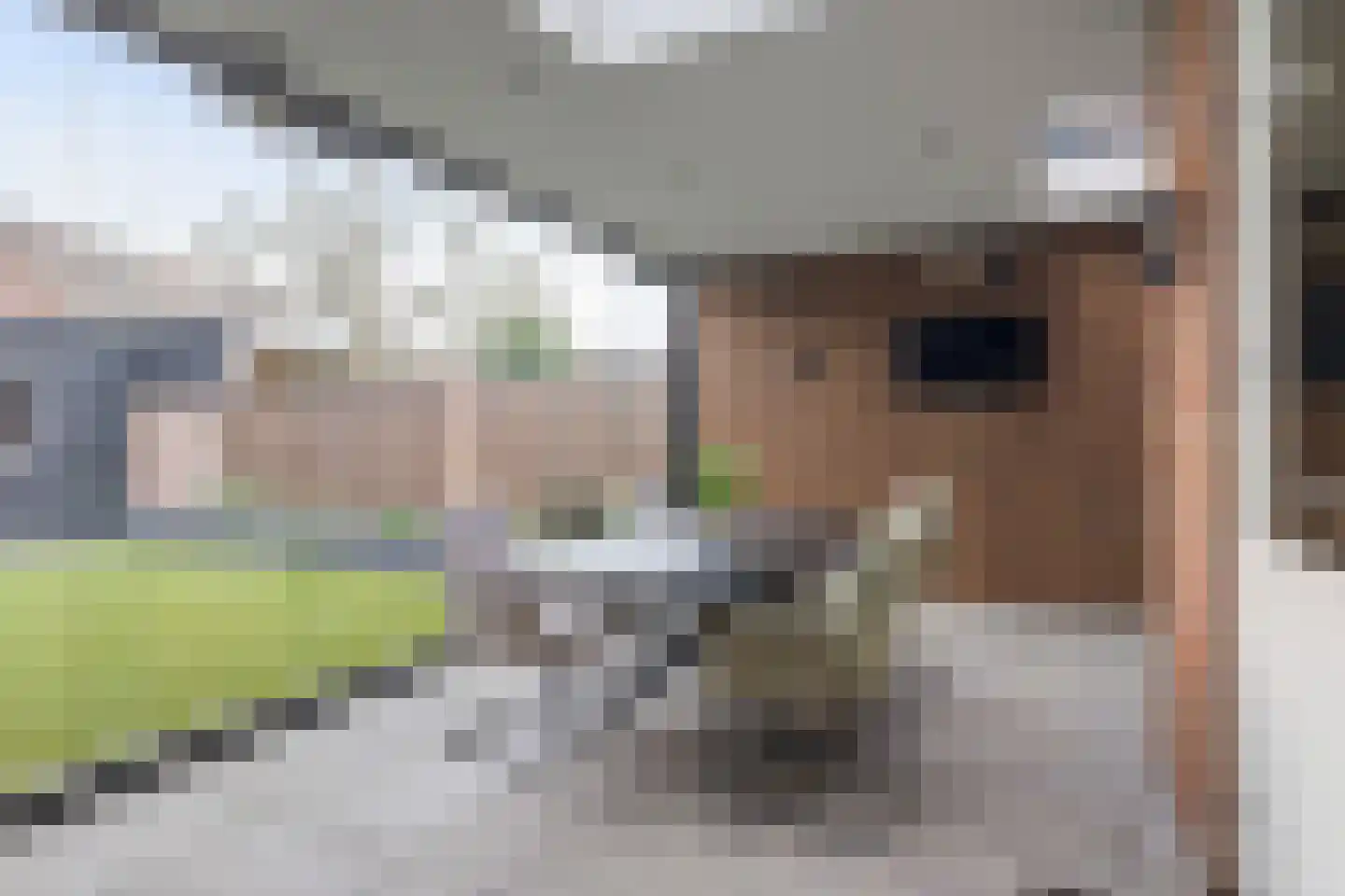 De Kastanjes 14 Boekel thumbnail 23