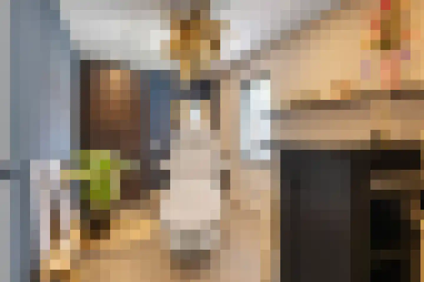 De Kastanjes 14 Boekel thumbnail 30