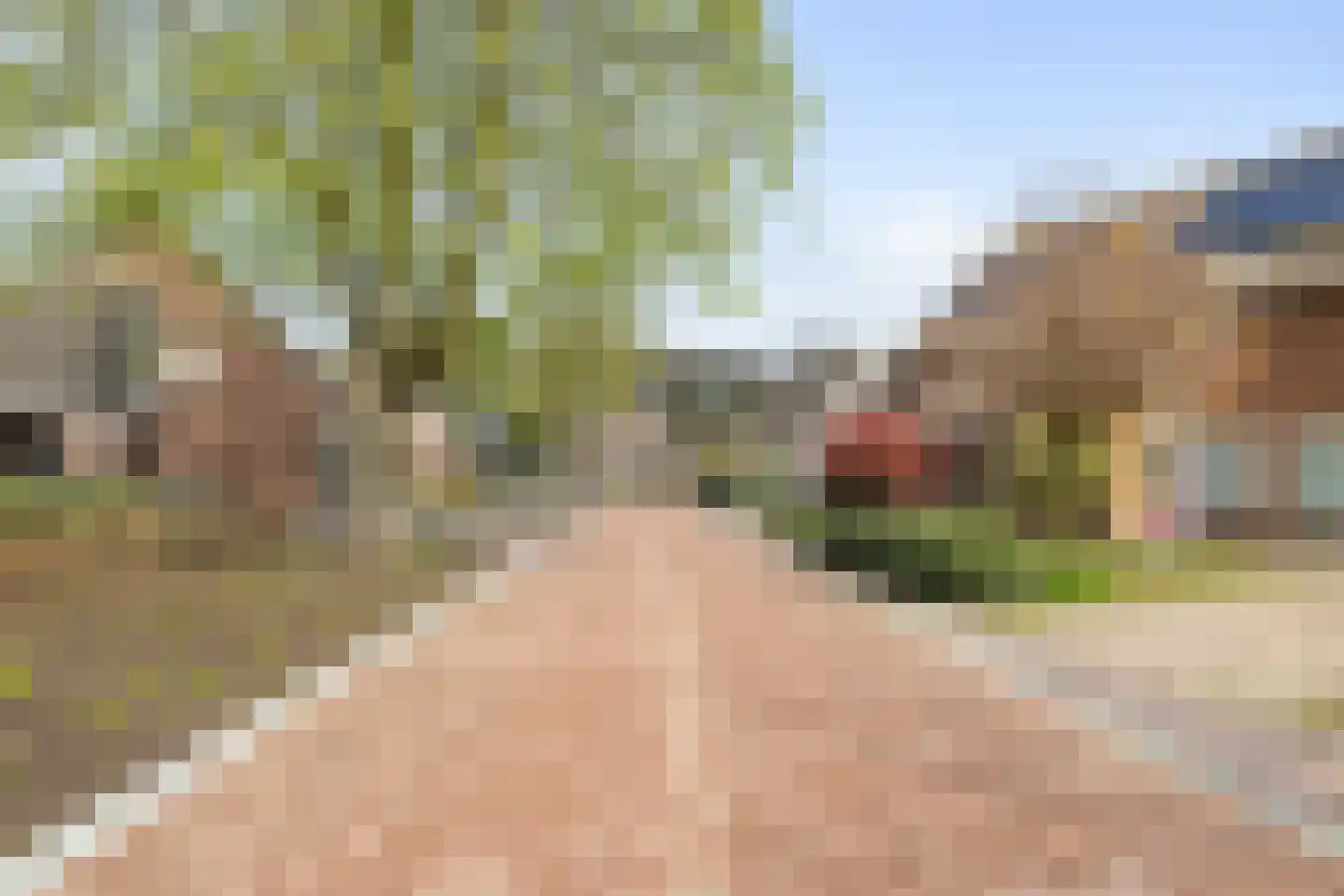 De Kastanjes 14 Boekel thumbnail 33
