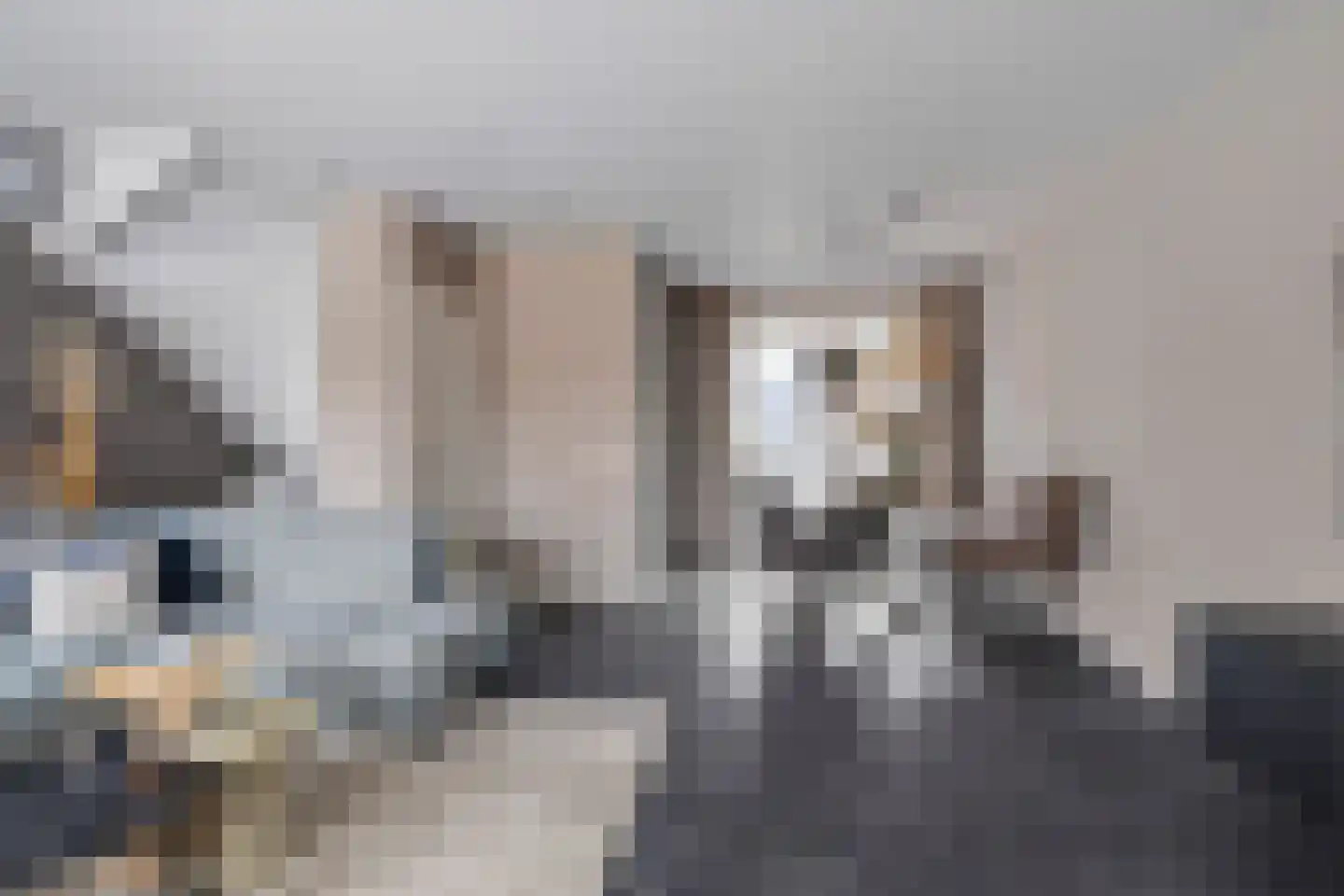 De Kastanjes 14 Boekel thumbnail 5