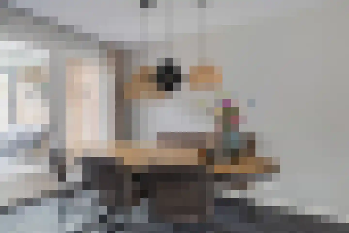 De Kastanjes 14 Boekel thumbnail 7