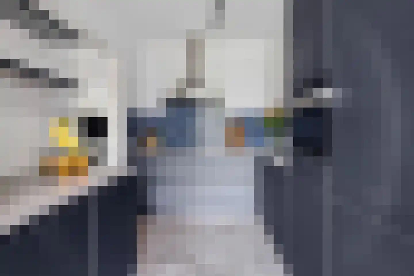 De Kastanjes 14 Boekel thumbnail 9