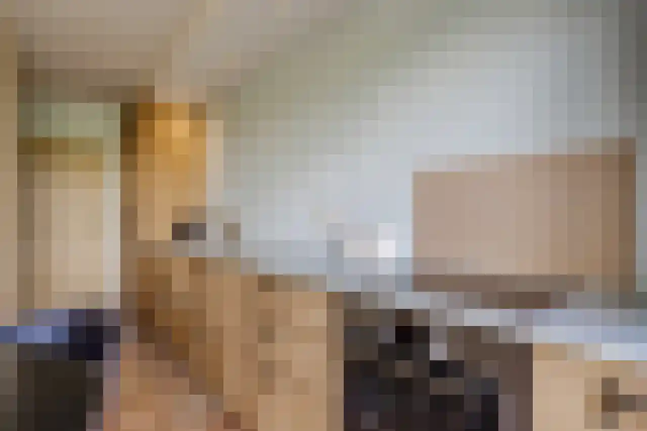 De Kat 21 Westhem thumbnail 10