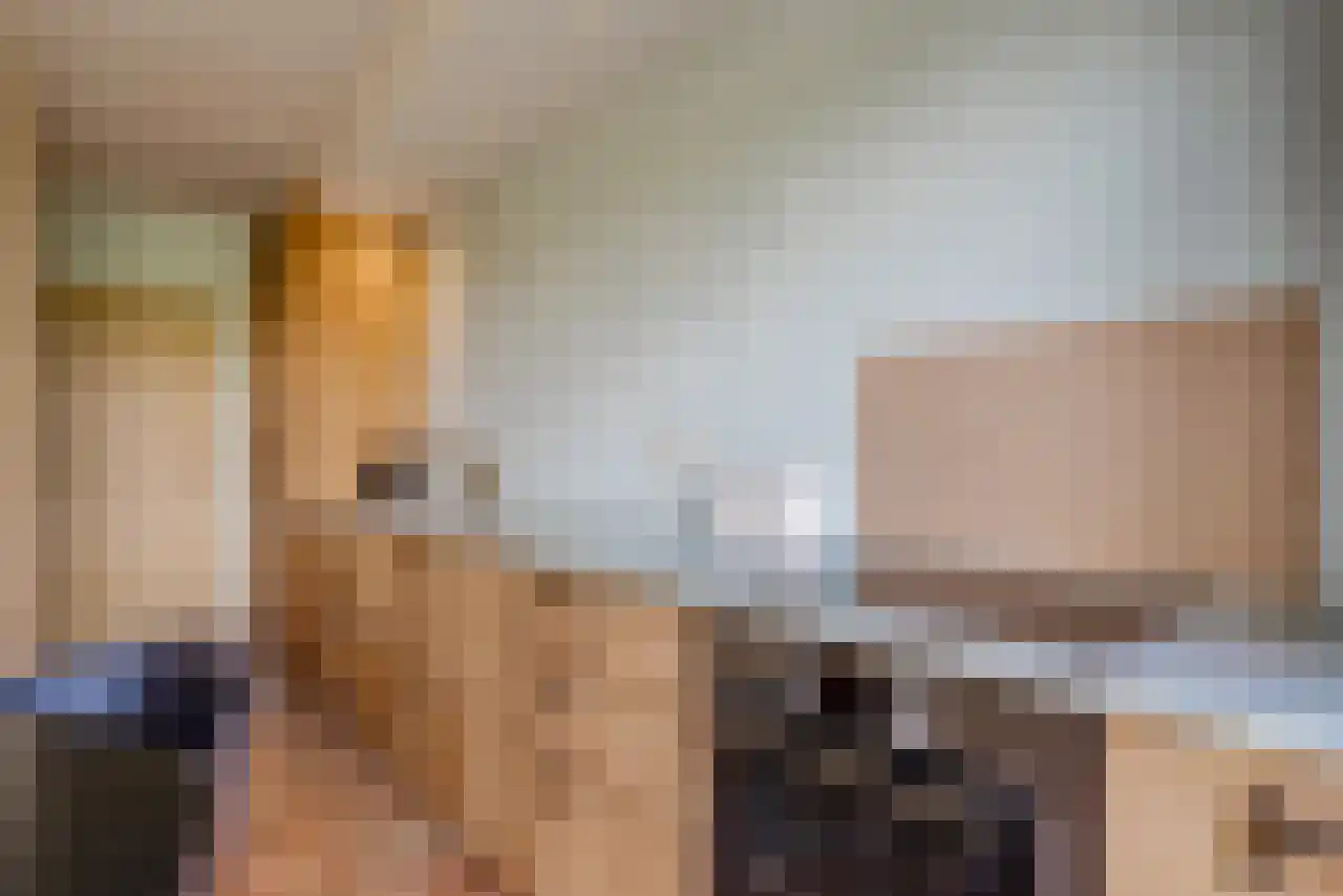De Kat 21 Westhem thumbnail 10