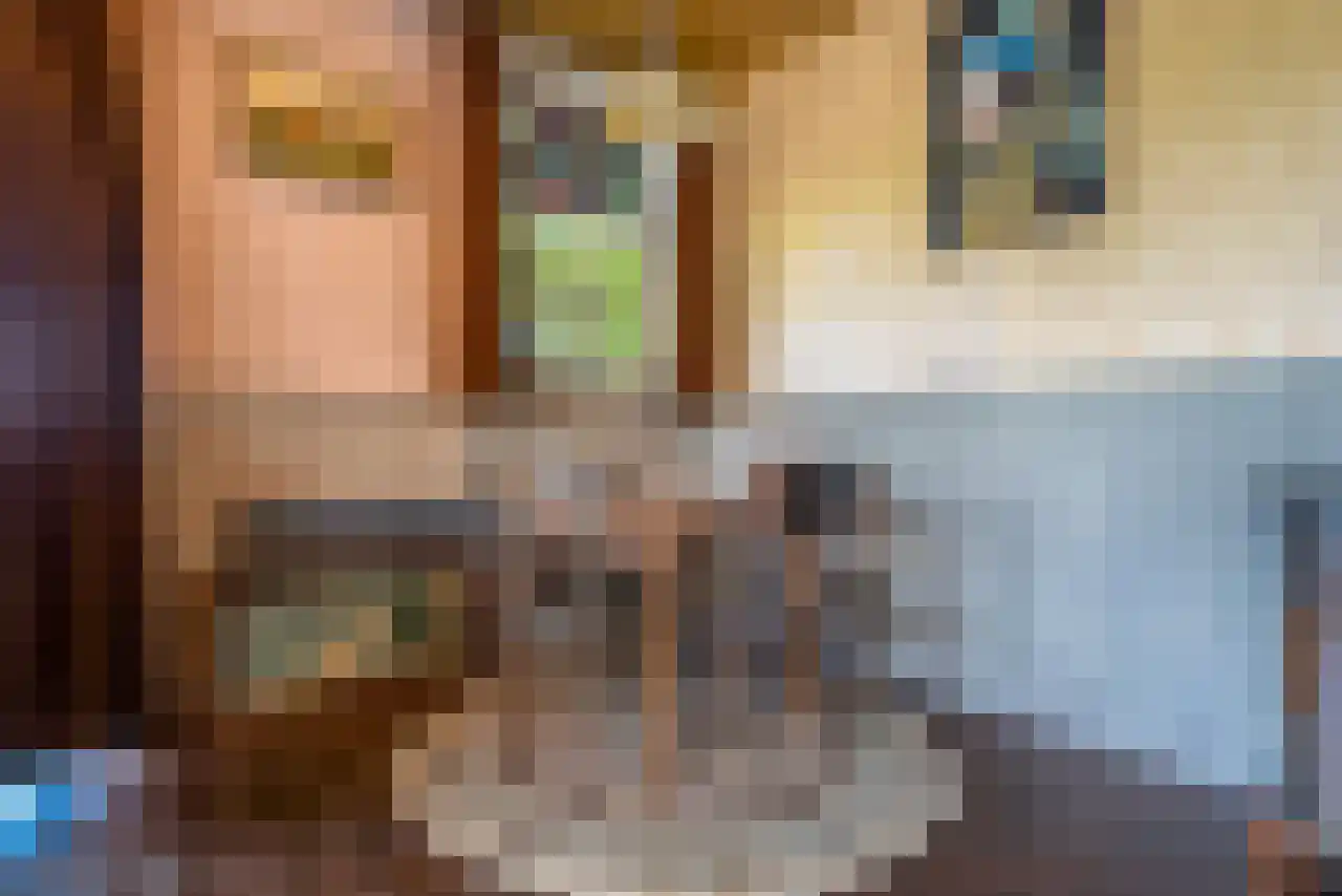 De Kat 21 Westhem thumbnail 15