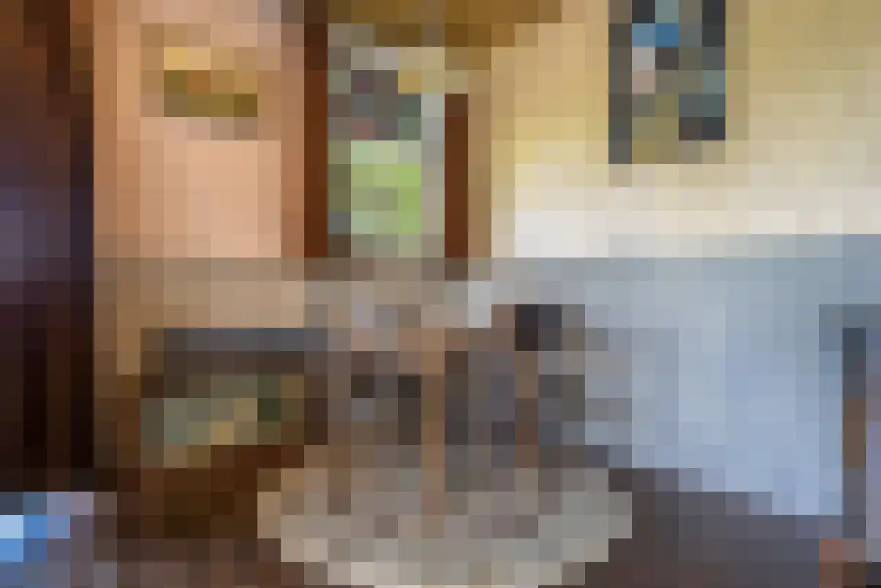 De Kat 21 Westhem thumbnail 15